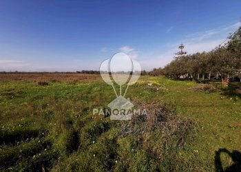 Terreno edificabile Via San Carlo, Partinico - foto 3