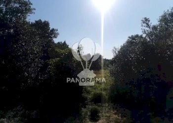 Terreno edificabile Contrada San Cataldo, Trappeto - foto 3