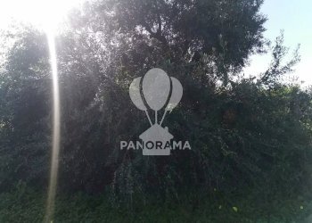 Terreno edificabile Contrada San Cataldo, Trappeto - foto 4