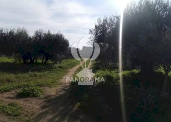 Terreno edificabile Contrada San Cataldo, Trappeto - foto 5