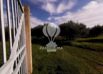 Terreno edificabile Contrada San Cataldo, Trappeto - foto 6