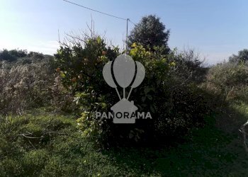 Terreno edificabile Contrada San Cataldo, Trappeto - foto 7