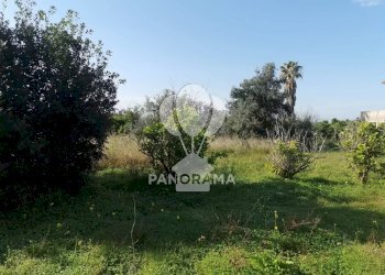 Terreno edificabile Contrada San Cataldo, Trappeto - foto 8