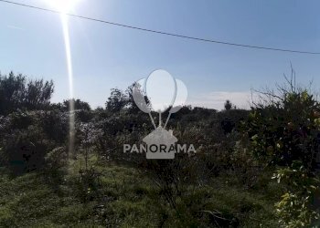 Terreno edificabile Contrada San Cataldo, Trappeto - foto 9