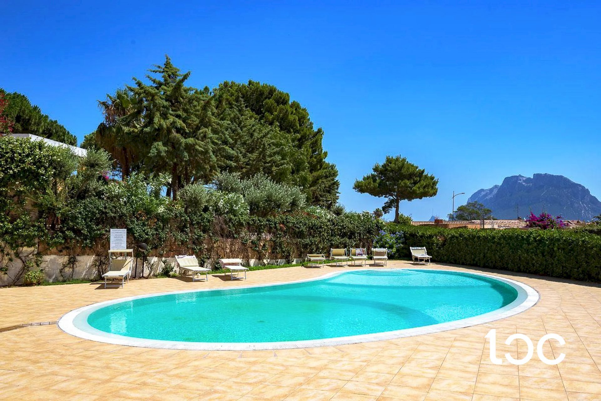 Villa Loiri Porto San Paolo - photo 3