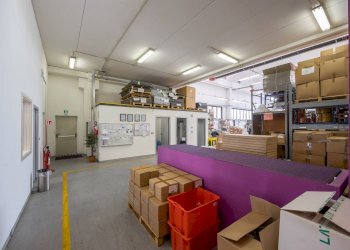 Capannone Torino - foto 6