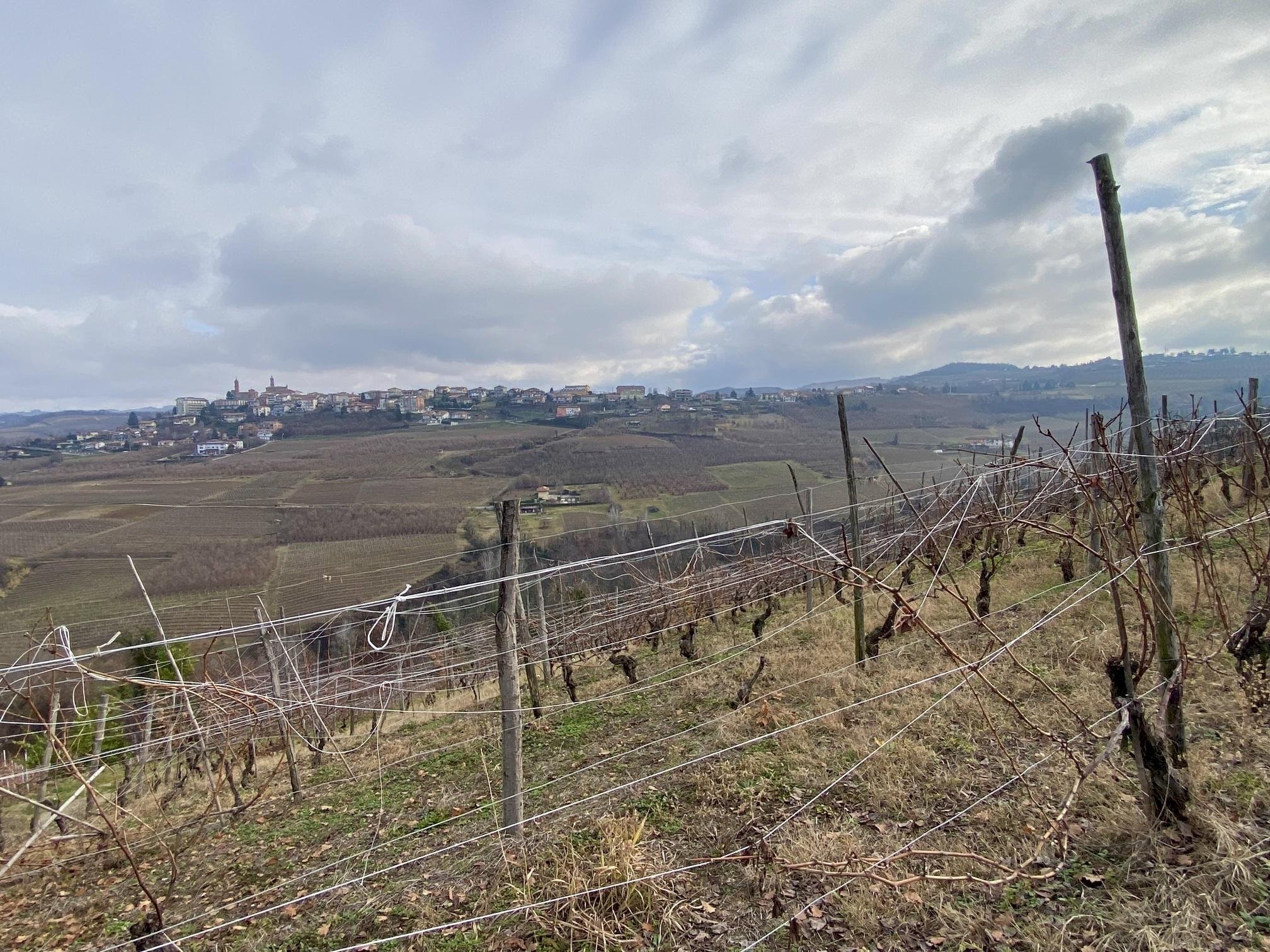 Terreno edificabile Montelupo Albese - foto 2