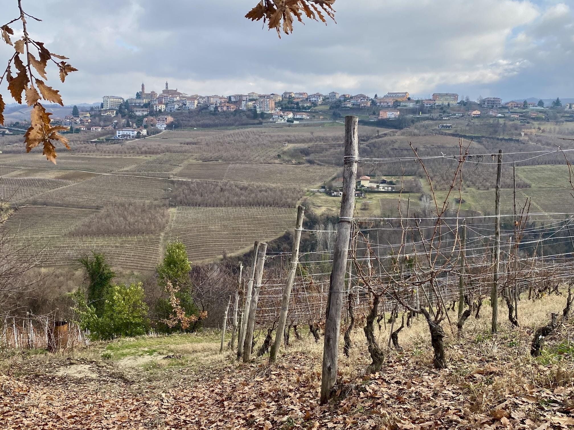 Terreno edificabile Montelupo Albese - foto 3