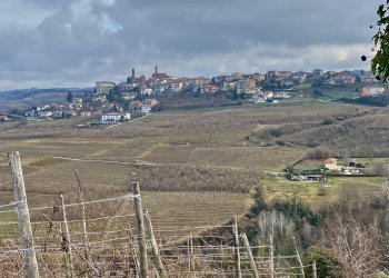 Terreno edificabile Montelupo Albese - foto 1