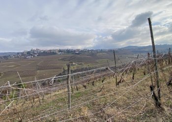 Terreno edificabile Montelupo Albese - foto 2