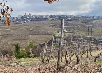 Terreno edificabile Montelupo Albese - foto 3