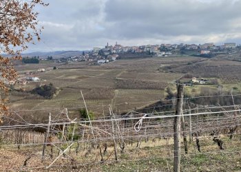 Terreno edificabile Montelupo Albese - foto 4
