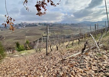 Terreno edificabile Montelupo Albese - foto 5