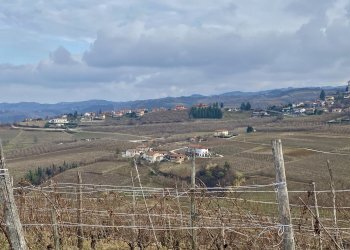 Terreno edificabile Montelupo Albese - foto 7