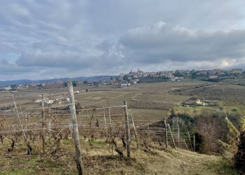 Terreno edificabile Montelupo Albese - foto 8