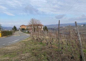 Terreno edificabile Montelupo Albese - foto 10