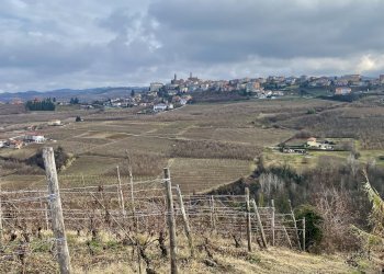 Terreno edificabile Montelupo Albese - foto 12