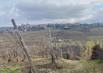 Terreno edificabile Montelupo Albese - foto 13