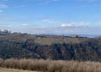 Terreno edificabile Montelupo Albese - foto 15