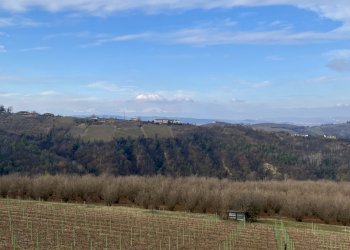 Terreno edificabile Montelupo Albese - foto 17