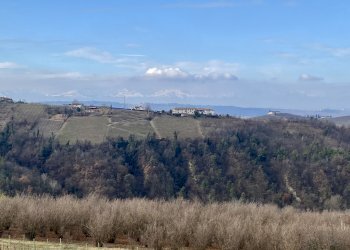Terreno edificabile Montelupo Albese - foto 18