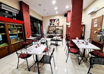 Cafeteria - Cold Bar Torino (neighborhood San Salvario) - photo 14