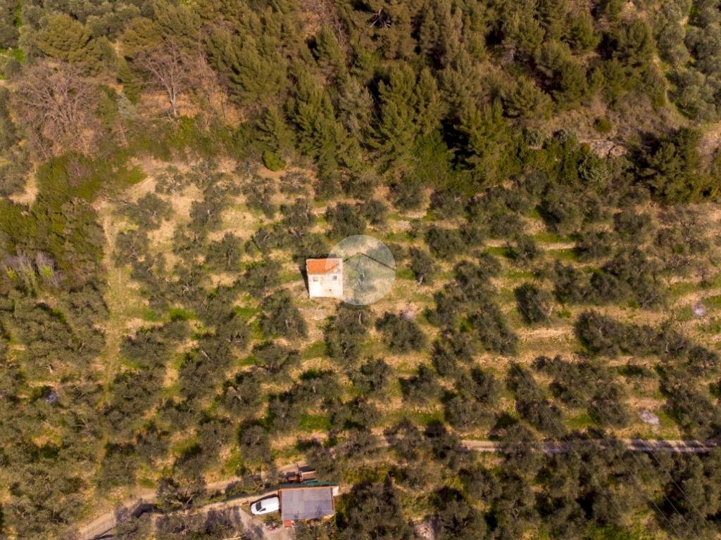 Rustico Strada Monte dei Campi, Imperia - foto 3