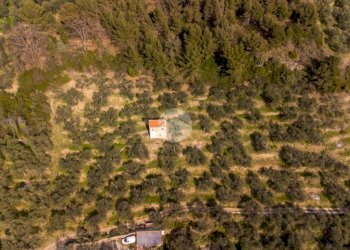 Rustico Strada Monte dei Campi, Imperia - foto 3