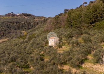 Rustico Strada Monte dei Campi, Imperia - foto 4