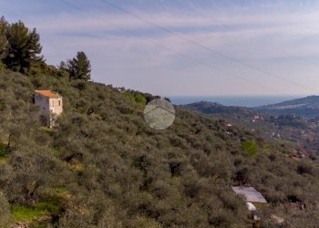 Rustico Strada Monte dei Campi, Imperia - foto 7