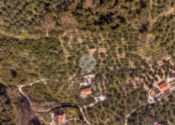 Rustico Strada Monte dei Campi, Imperia - foto 8