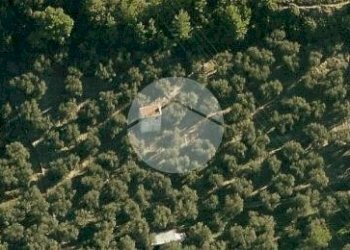 Rustico Strada Monte dei Campi, Imperia - foto 10