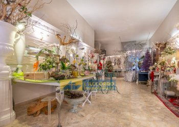 Foto 2 - Locale Commerciale via Della Liberazione
 
142, Chieti - foto 2