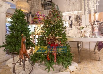 Foto 12 - Locale Commerciale via Della Liberazione
 
142, Chieti - foto 12