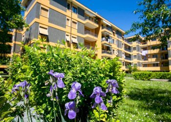 Foto 50 - Quadrilocale VIA FRUA, Saronno - foto 50