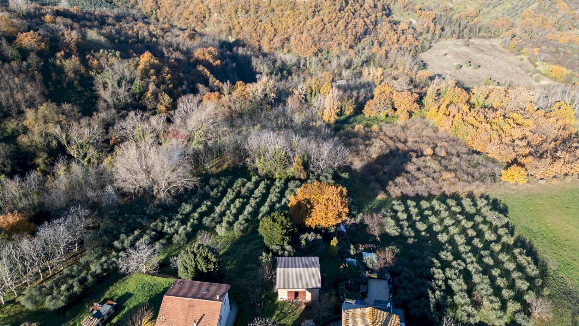 Non correlato - Terreno agricolo via Amendola
 
22, Montecarotto - foto 3