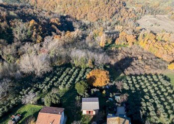 Non correlato - Terreno agricolo via Amendola
22, Montecarotto - foto 3