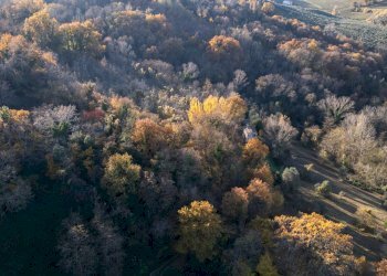 Vista delle montagne - Terreno agricolo via Amendola
22, Montecarotto - foto 5