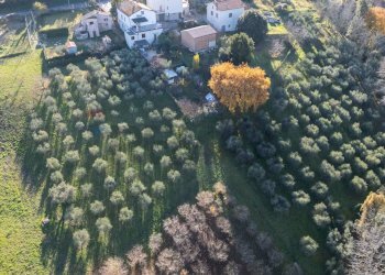 Giardino - Terreno agricolo via Amendola
22, Montecarotto - foto 6