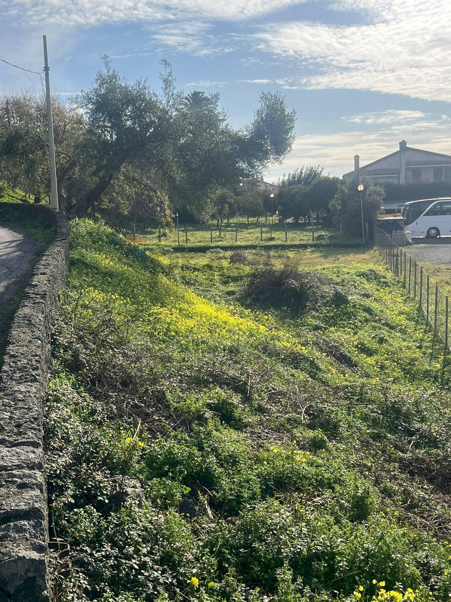 Giardino - Terreno edificabile via Traversa Enel, Motta Camastra - foto 3