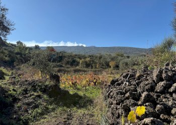 Vista delle montagne - Terreno agricolo contrada marchesa, Castiglione di Sicilia - foto 4