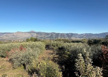 Vista delle montagne - Terreno agricolo contrada marchesa, Castiglione di Sicilia - foto 8