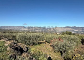 Vista delle montagne - Terreno agricolo contrada marchesa, Castiglione di Sicilia - foto 9