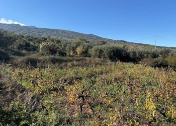 Vista delle montagne - Terreno agricolo contrada marchesa, Castiglione di Sicilia - foto 10