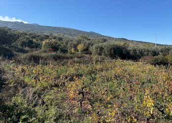 Vista delle montagne - Terreno agricolo contrada marchesa, Castiglione di Sicilia - foto 1