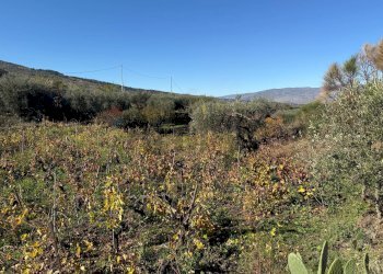 Vista delle montagne - Terreno agricolo contrada marchesa, Castiglione di Sicilia - foto 11
