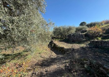 Non correlato - Terreno agricolo contrada marchesa, Castiglione di Sicilia - foto 13