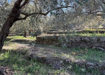 Giardino - Terreno agricolo contrada marchesa, Castiglione di Sicilia - foto 15