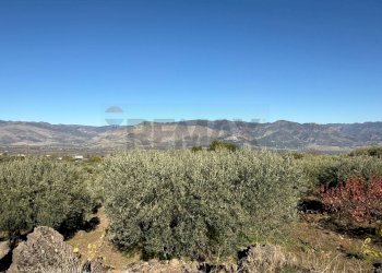 Vista delle montagne - Terreno agricolo contrada marchesa, Castiglione di Sicilia - foto 17