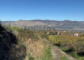 Vista delle montagne - Terreno agricolo contrada marchesa, Castiglione di Sicilia - foto 23